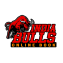 Indiabullsonlinebook